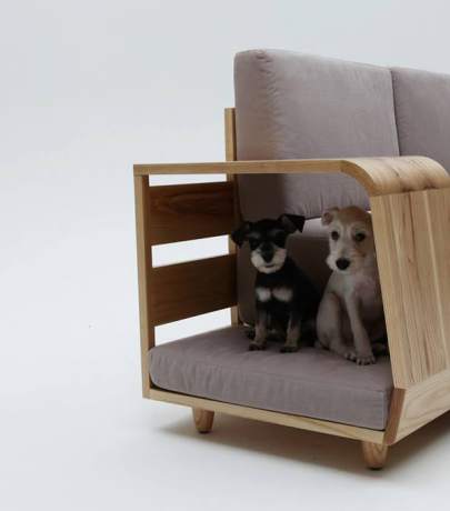 Furniture, adapted to animals