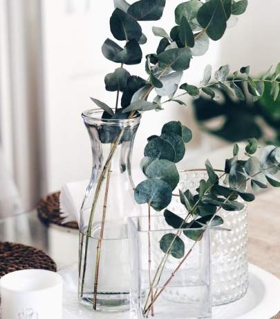 Eucalyptus - trendy interior decor detail