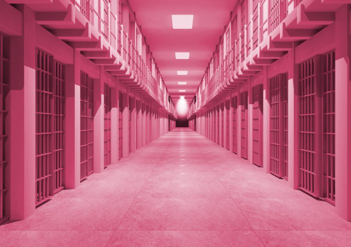 Rožinė spalva ir kalėjimas. Kas tarp jų bendro?
