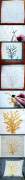 DIY ideas