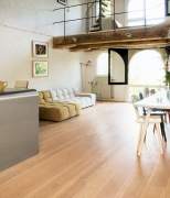 Lofto stiliaus butas Amsterdame