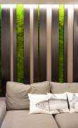 Dark colors at home