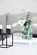 Glass vases 