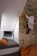 Climbing wall at home