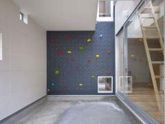 Climbing wall at home