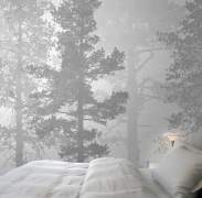 The most beautiful wall murals ever