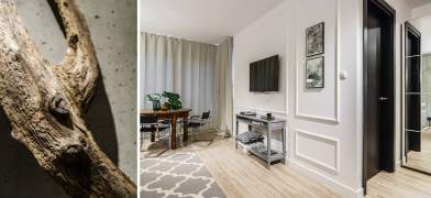 Contemporary flat in Poland