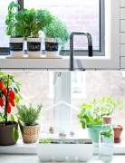 Herbs garden in the kitchen