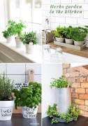 Herbs garden in the kitchen