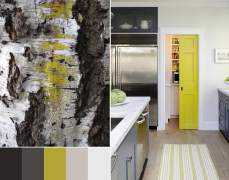 Interior color palette. Inspiration from nature.