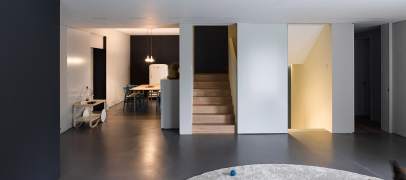 House with a basement for a disabled dog