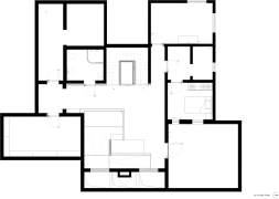 House with a basement for a disabled dog