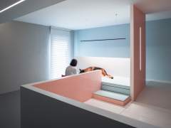 House with a basement for a disabled dog