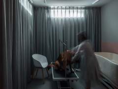 House with a basement for a disabled dog