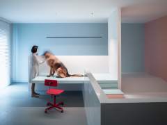 House with a basement for a disabled dog