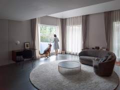 House with a basement for a disabled dog