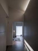 House with a basement for a disabled dog