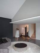 House with a basement for a disabled dog