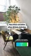 Įkvepianti darbo aplinka. Kas tai per velnias?