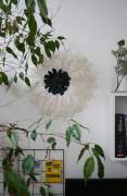 Juju Hats - feather wall art which conquers the world!