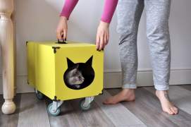 Pasidaryk pats - mobilus katės guolis!
