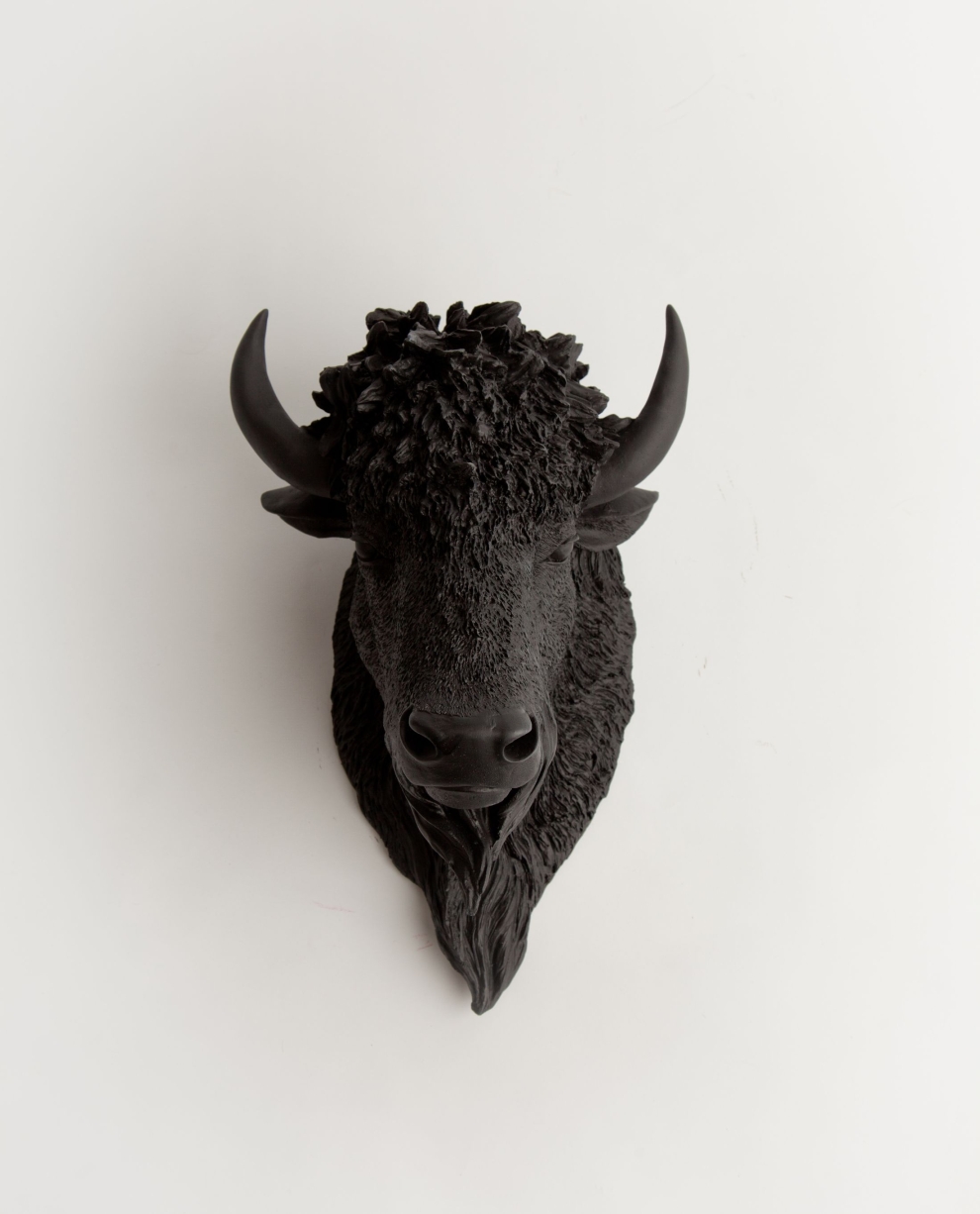 decorative antlers