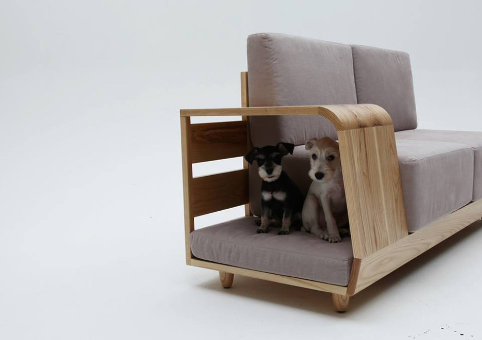 Sofa pritaikyta šunims
