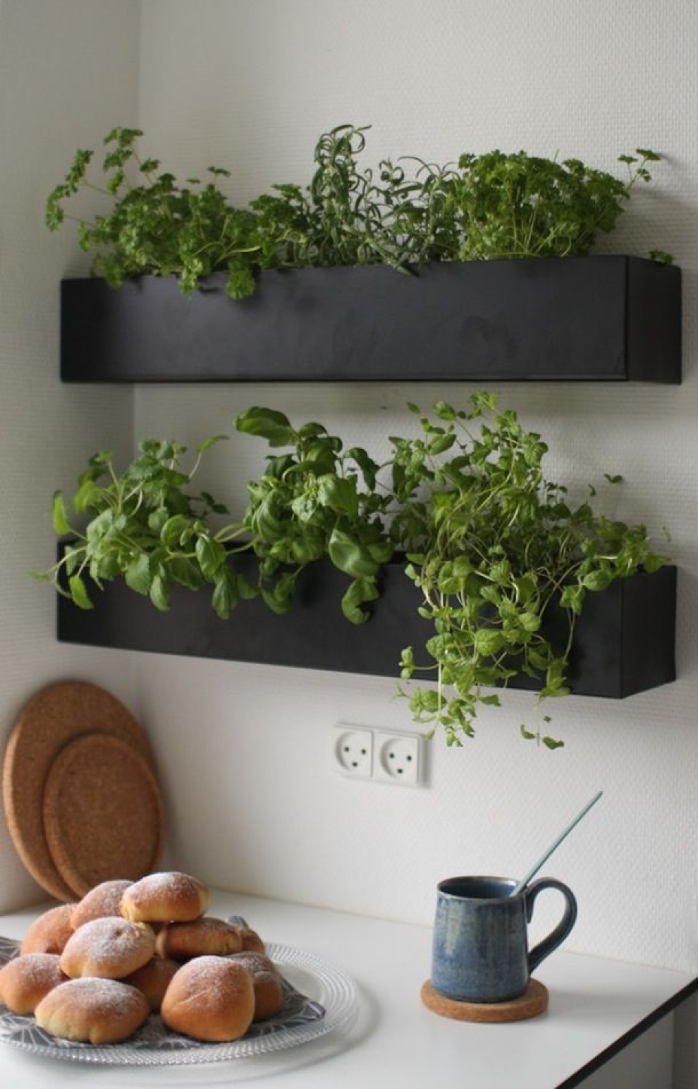 herbs in the kitchen