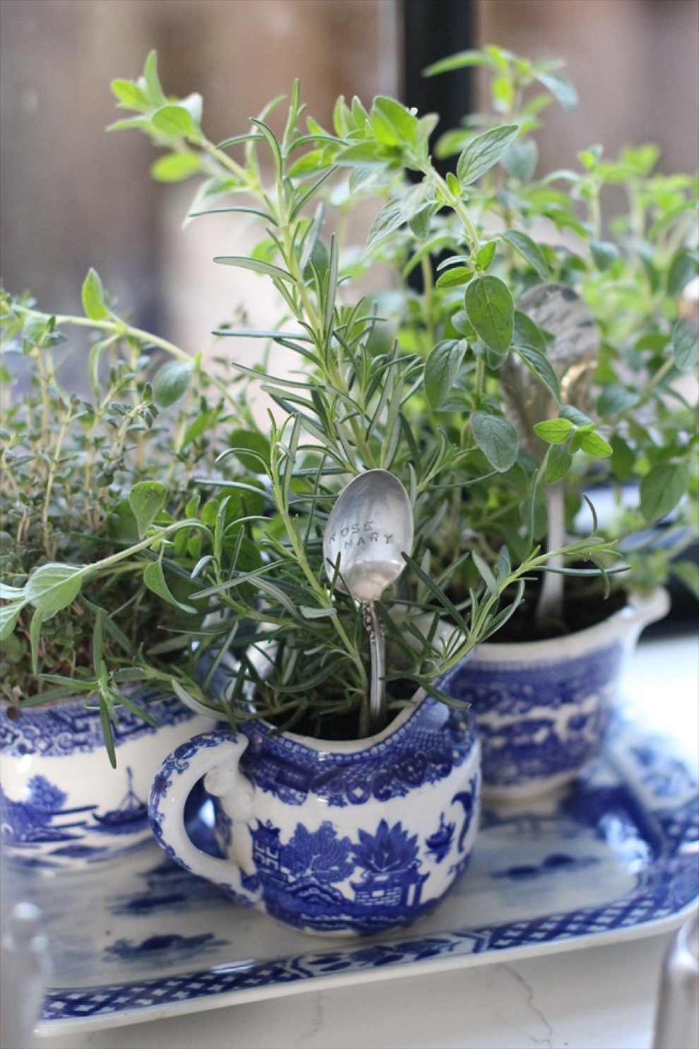 planting herbs DIY