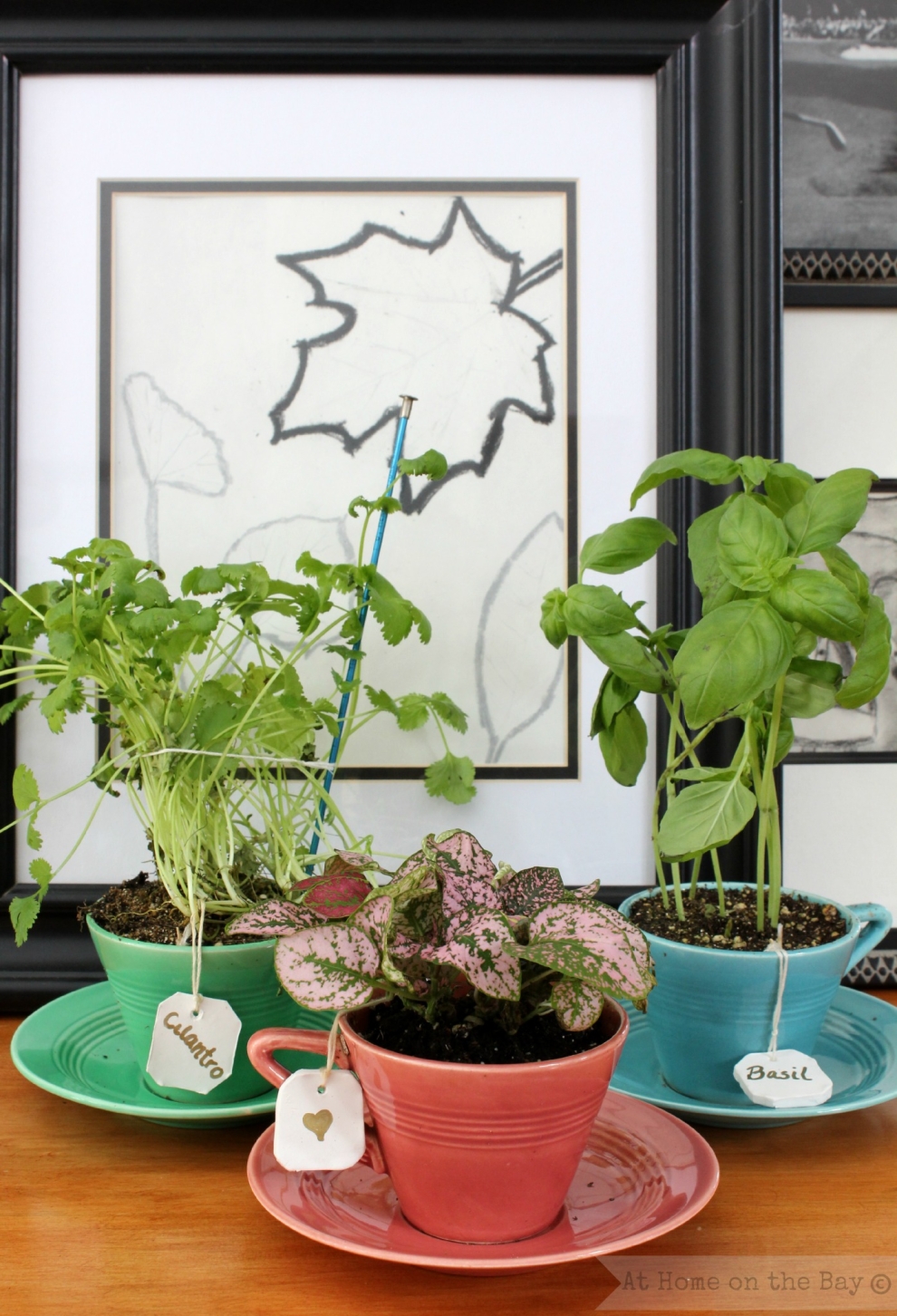 herbs in cup
