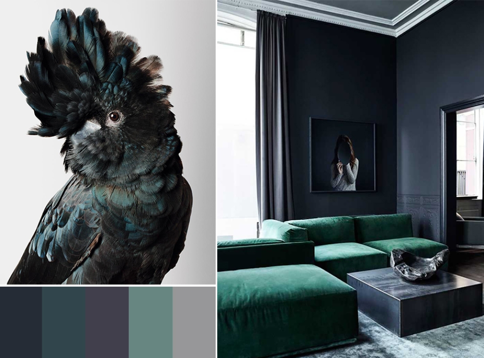 interior palette 