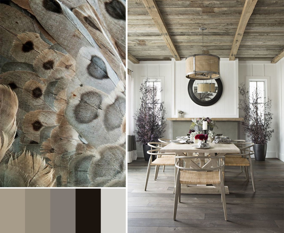 mood board nature interior