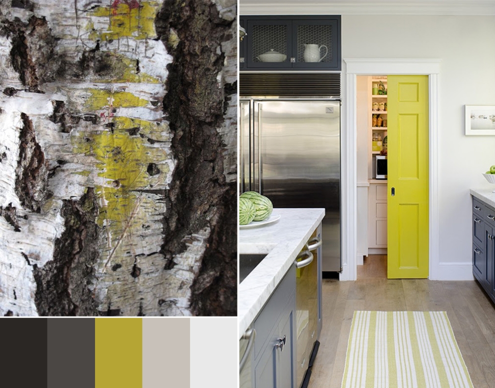 color palette inspiration