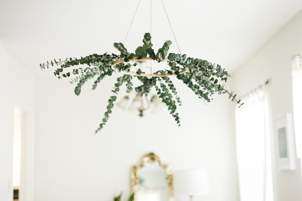 eucalyptus chandelier