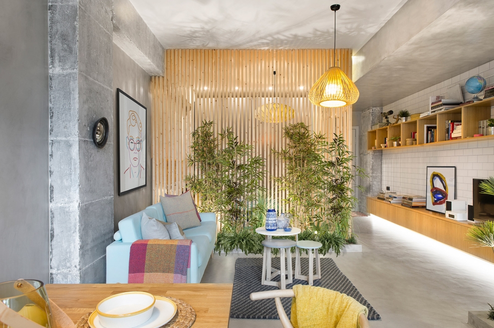 bamboo in living room