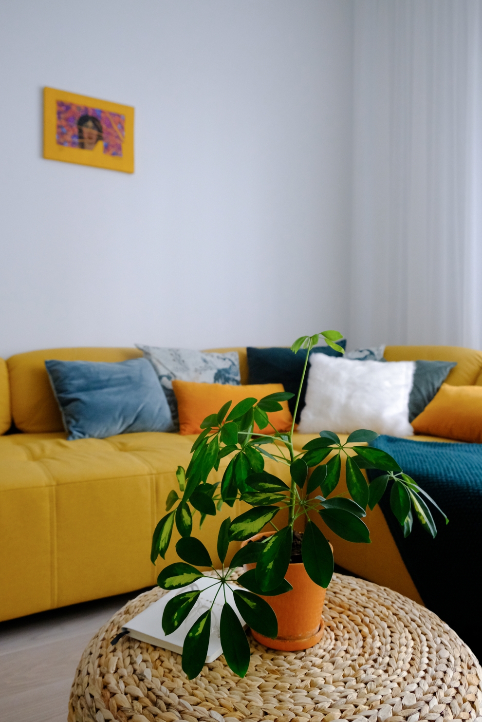 sofa
