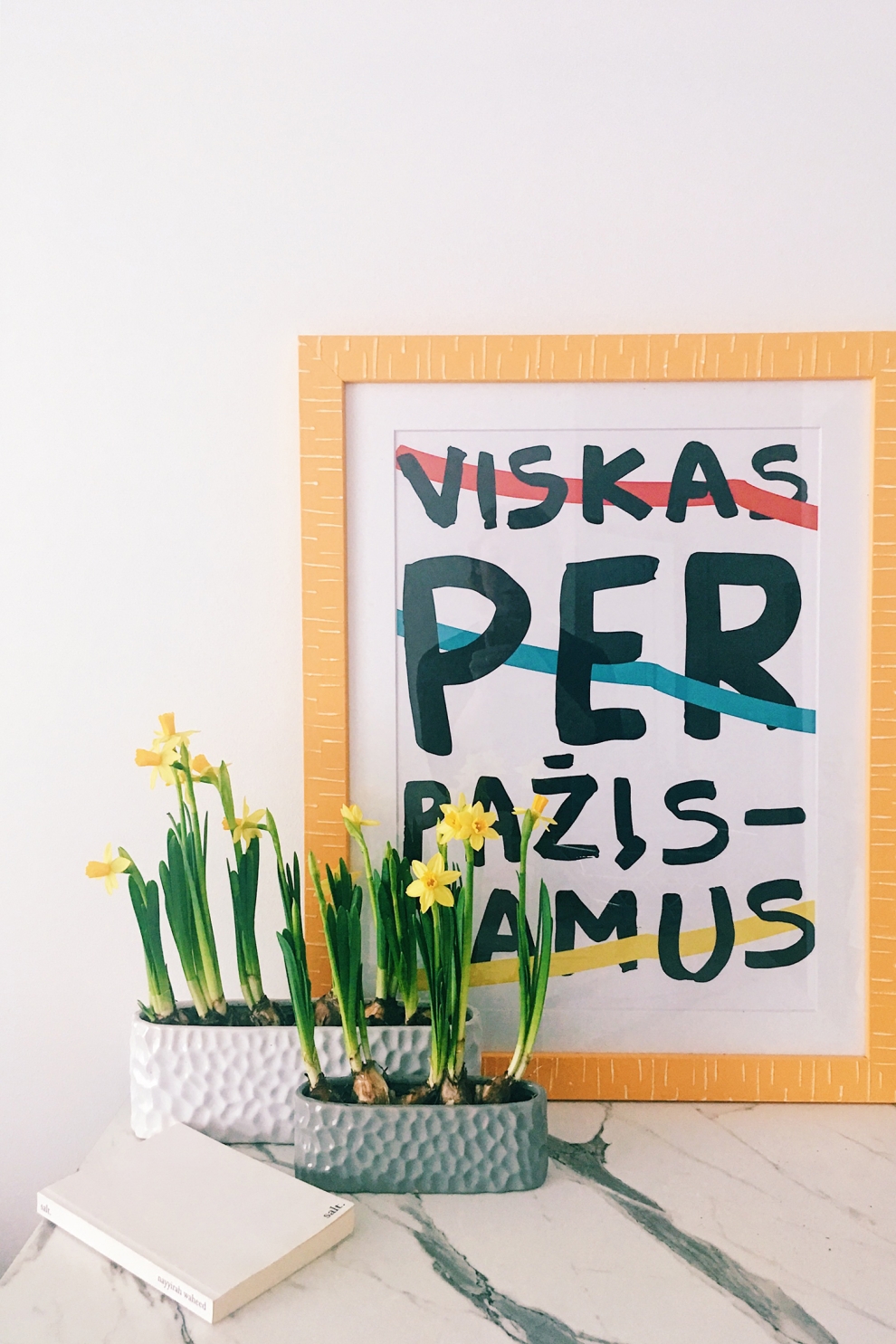 paveikslas virtuveje