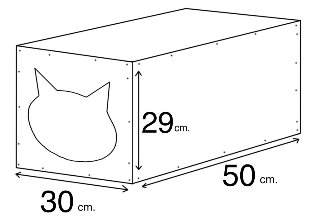 kates guolio schema