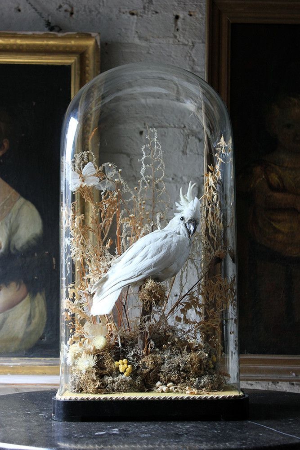ieva tumeliene parlor domes