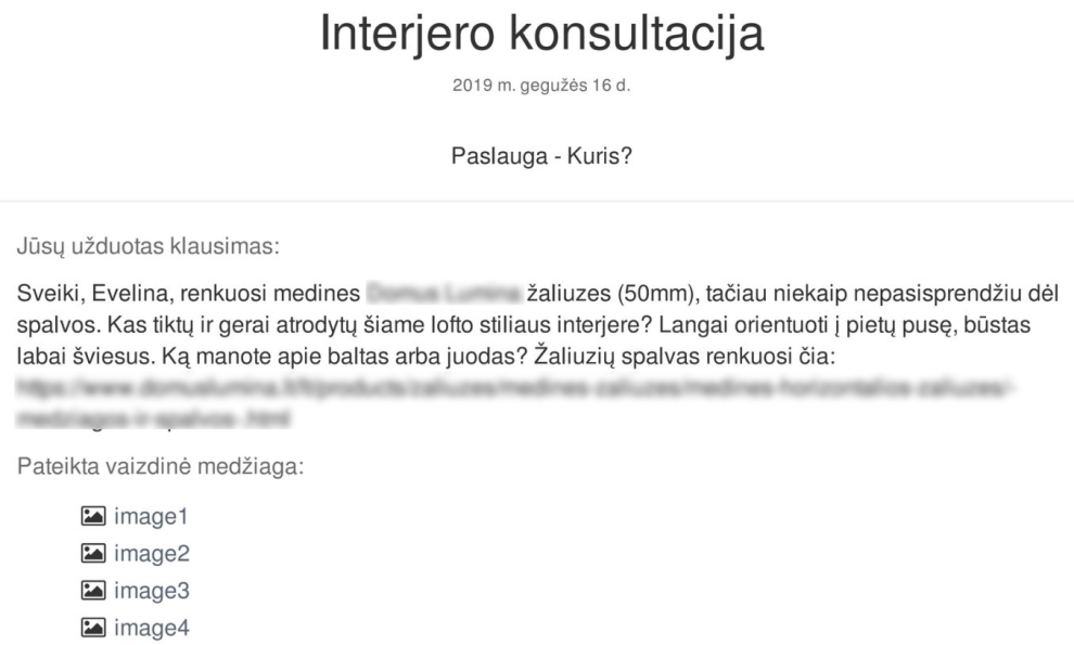interjero konsultacija einterjeras