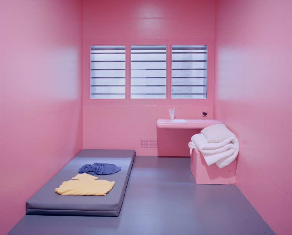 cooldownpink-cells