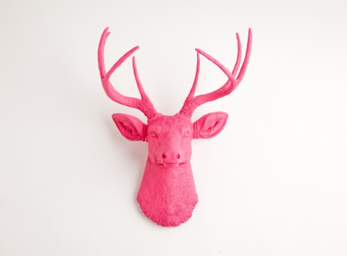 Ragai, antlers, gyvūnų galvos