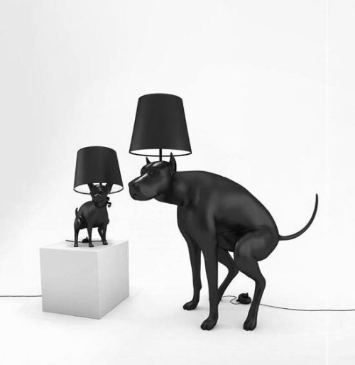 dog lighting