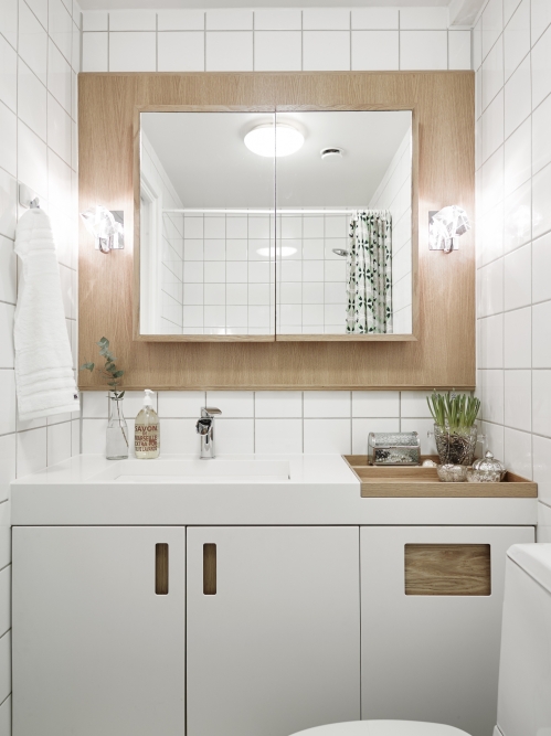 mirror cabinet