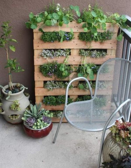 shelves for plants