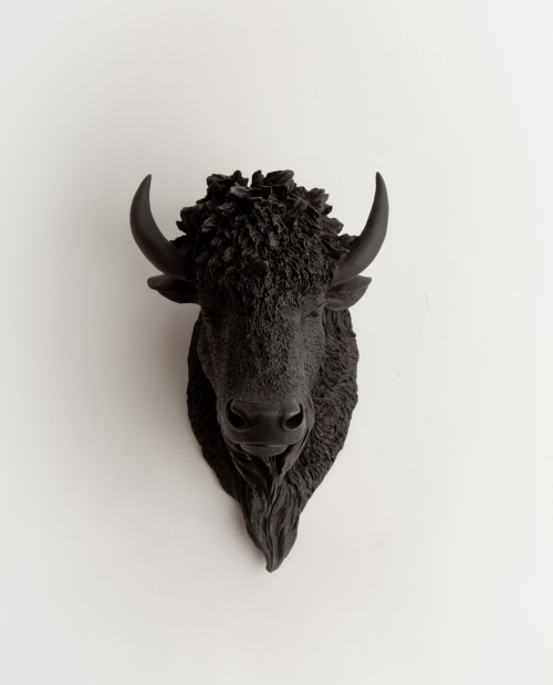 Ragai, antlers, gyvūnų galvos