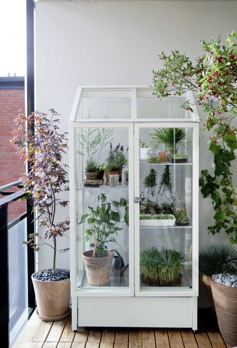 plants in balcony