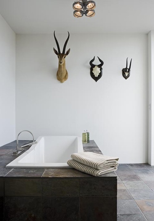 Antlers