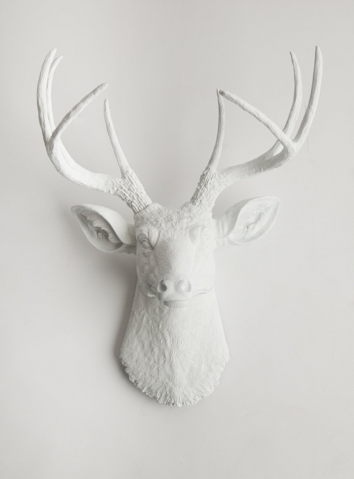 white antlers
