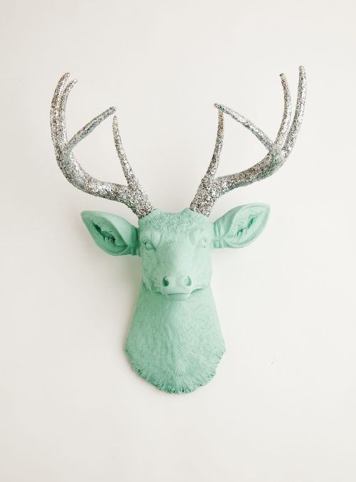 Ragai, antlers, gyvūnų galvos